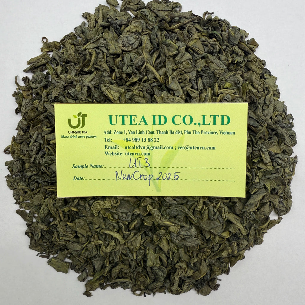 UT3 Factory Direct Bulk Supply OEM Private Label Available Pure Organic Vietnam Green Tea Leaves Beverage in Bag Packaging