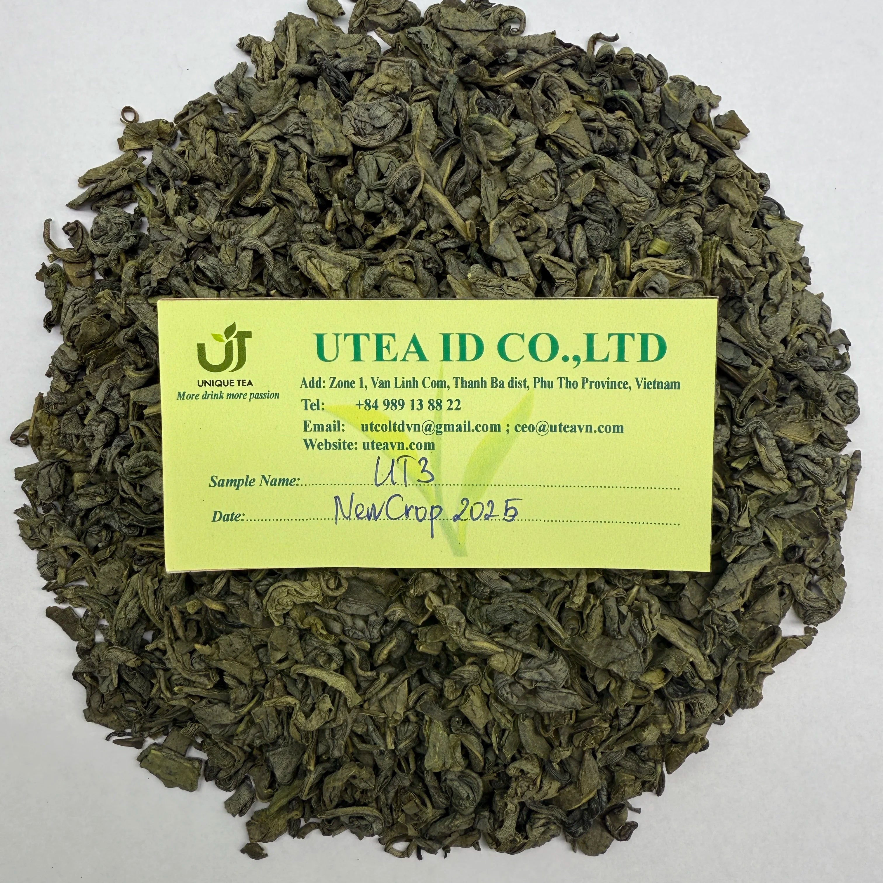 UT3 Factory Direct Bulk Supply OEM Private Label Available Pure Organic Vietnam Green Tea Leaves Beverage in Bag Packaging