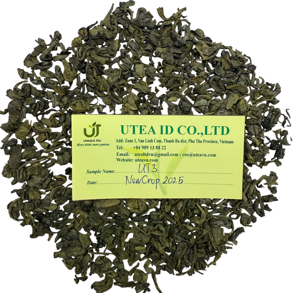 UT3 Factory Direct Bulk Supply OEM Private Label Available Pure Organic Vietnam Green Tea Leaves Beverage in Bag Packaging