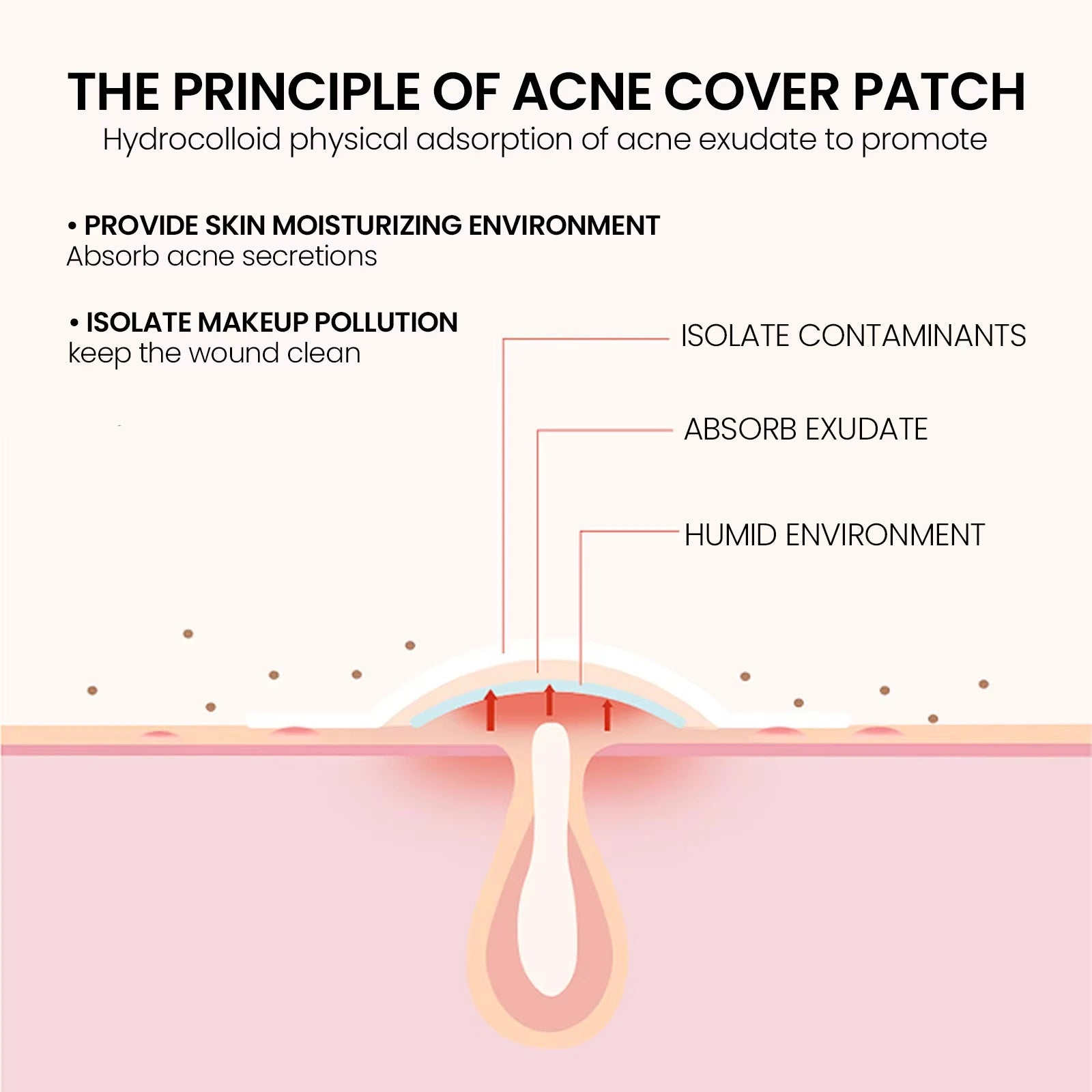 Salicylic Acid Unique Compact Oem Cute Invisible Private Label Custom Design Korean Hydrocolloid Acne Pimple Patches for Face