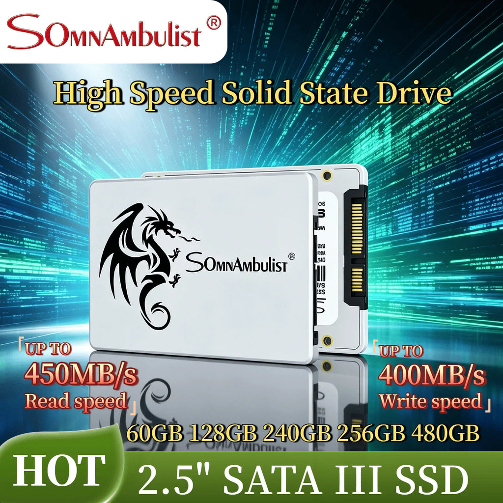 SomnAmbulist SSD SATA3 2.5 Inch 60GB 120GB 128GB 240GB 256GB 480GB 512GB Solid State Drive for Laptop Desktop Computer