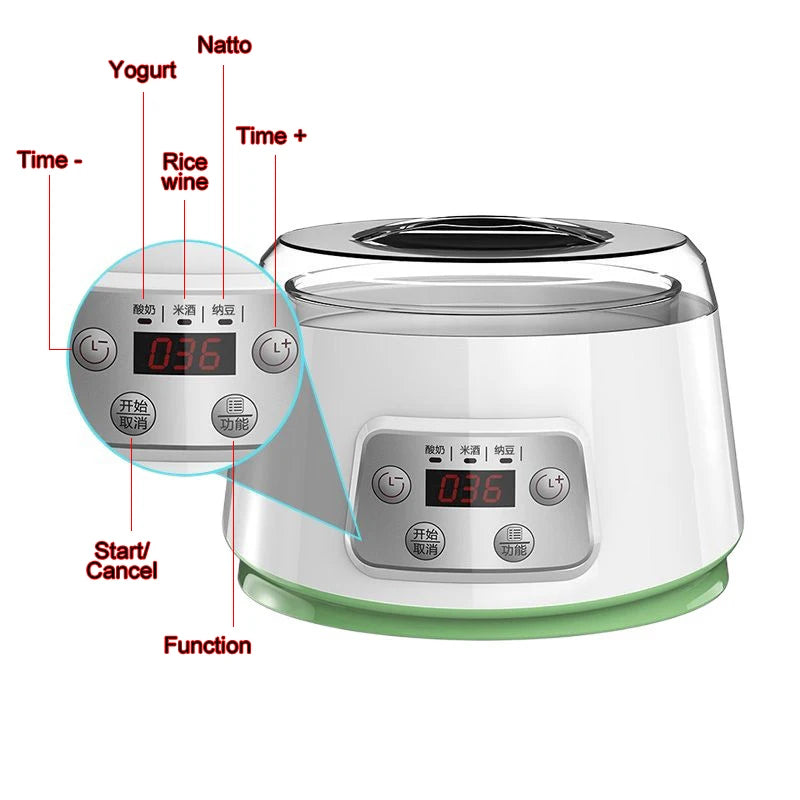 DMWD Mini Electric Yogurt Maker Automatic Leben Enzyme Fermenter Yoghurt Glass Container Cups Natto Rice Wine Fermenting Machine