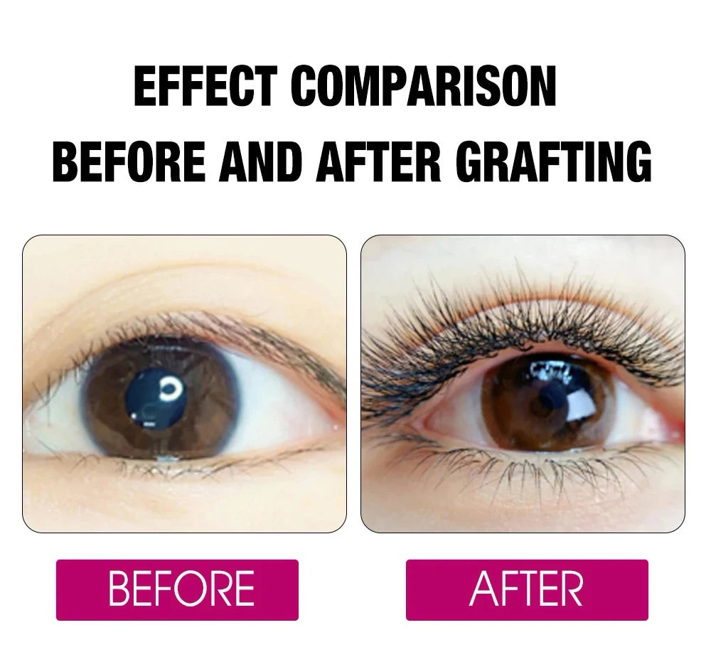 FADVAN 8D W Double Layers 4D W Shape Lashes  Extension C/D Natural Soft Volume Fan Lash 0.07 C/D Curl Premade Fax Mink Eyelashes