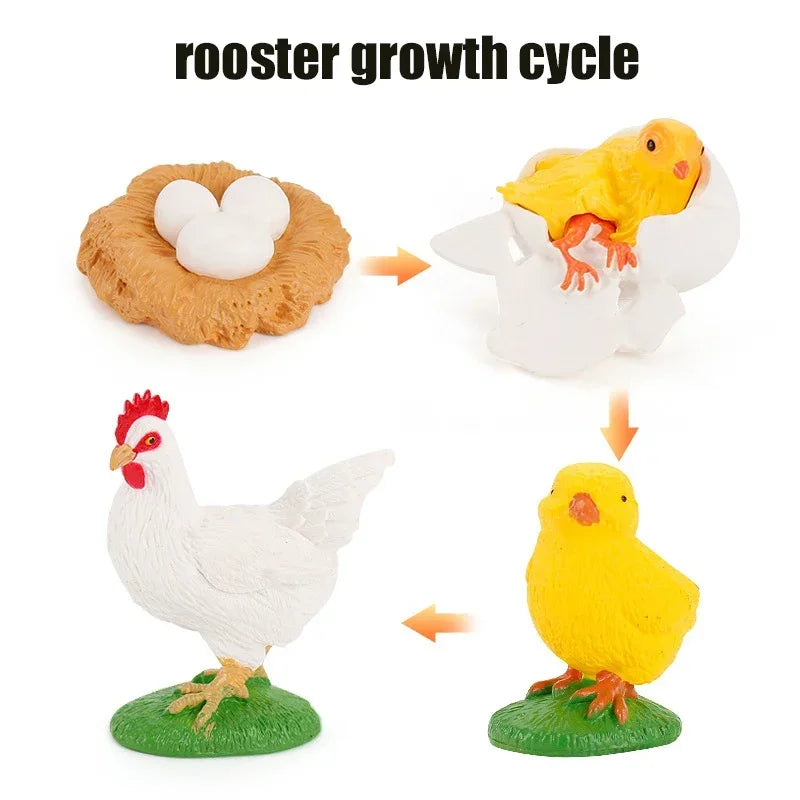 Animal Life Cycle Board Children Toys Montessori Teaching Aids Plant Animal Growth Cycle Model Set preschool cognitive Toys