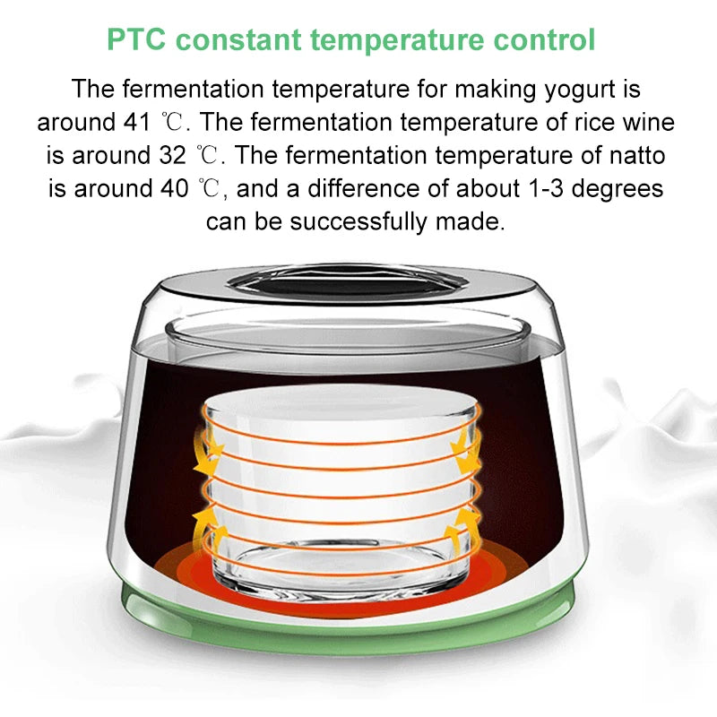 DMWD Mini Electric Yogurt Maker Automatic Leben Enzyme Fermenter Yoghurt Glass Container Cups Natto Rice Wine Fermenting Machine
