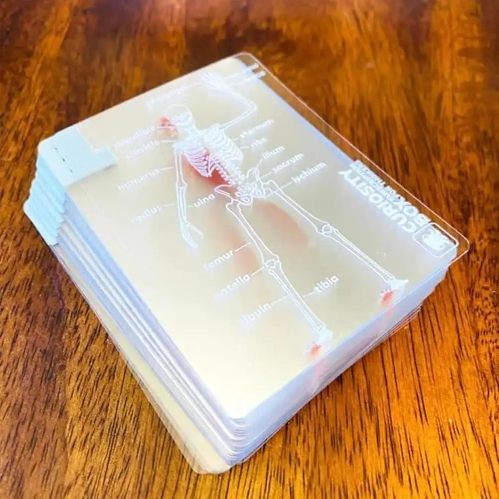 Full Skeleton Human Anatomy Playing Cards X-Ray Designs The Body Deck Skeleton Mannequin Body Deck Educational Playing Cards Kit