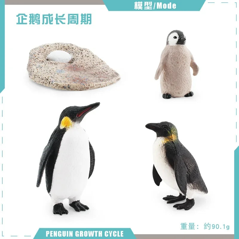 Animal Life Cycle Board Children Toys Montessori Teaching Aids Plant Animal Growth Cycle Model Set preschool cognitive Toys