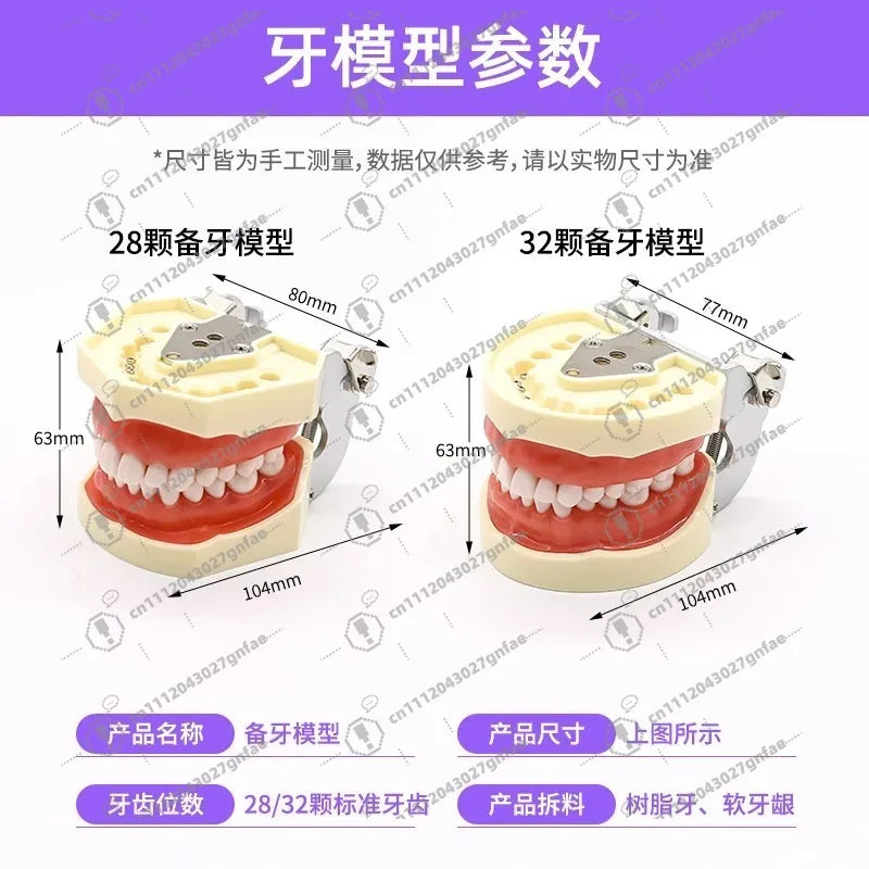 28 32 Oral Dental Teeth Model Preparation Practice Soft Gums Removable Oral Teaching