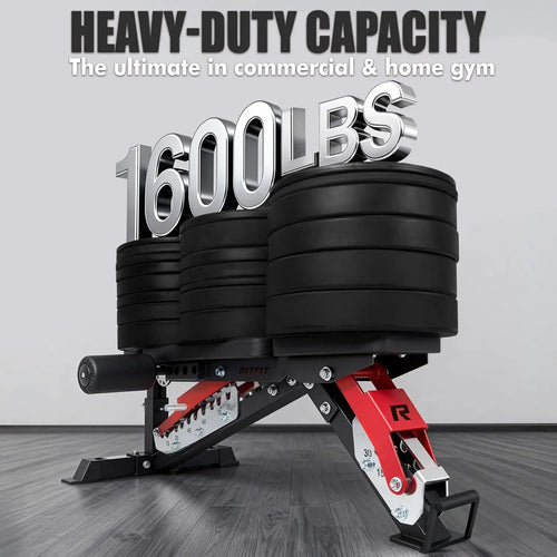 3-Section Adjustable Weight Bench, 1600LBS Capacity Workout Bench for Home Gym, 21 Levels Incline Decline Bench, Customized