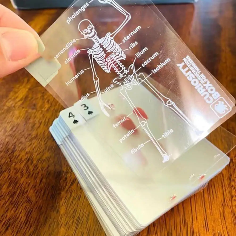 Full Skeleton Human Anatomy Playing Cards X-Ray Designs The Body Deck Skeleton Mannequin Body Deck Educational Playing Cards Kit