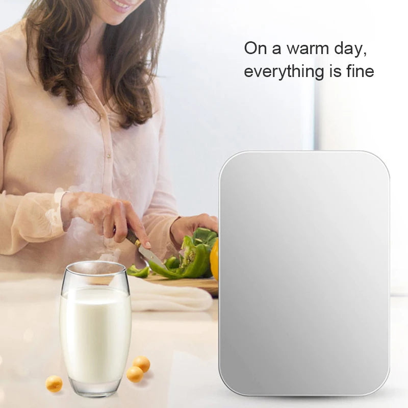 12V/220V Mini Fridge Refrigerator Beauty Cooler Warmer Refrigerators Constant Temperature Skincare Preservation for HOME CAR