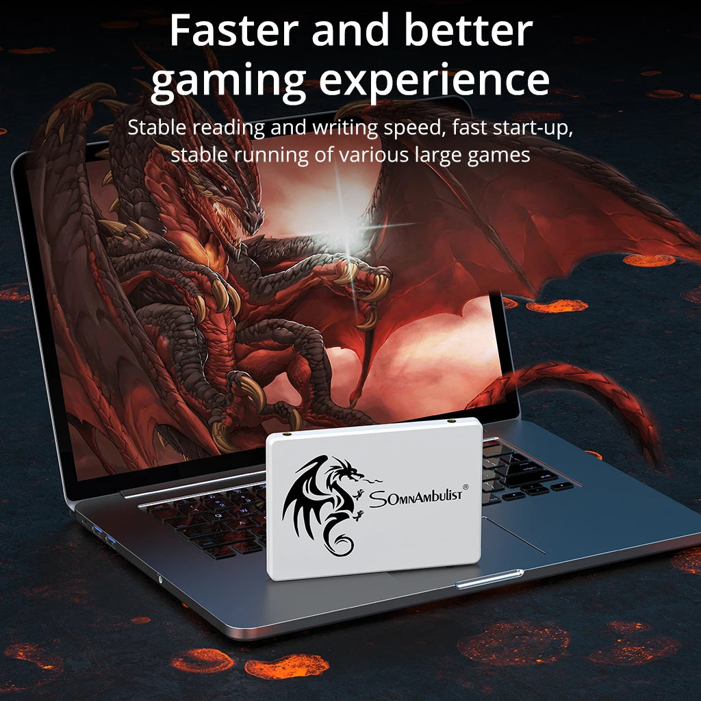 SomnAmbulist SSD SATA3 2.5 Inch 60GB 120GB 128GB 240GB 256GB 480GB 512GB Solid State Drive for Laptop Desktop Computer